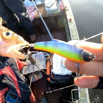 Сидушка для рыбалки на нос лодки
