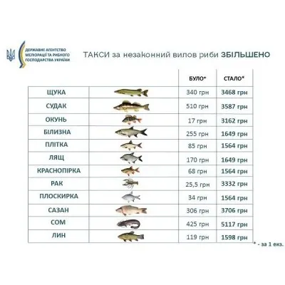 Новые штрафы для рыболовов в Украине