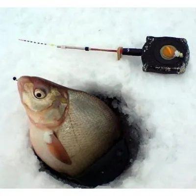 Рыбная ловля на гирлянду зимой