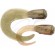 Хвост запасной Savage Gear 3D Hard Eel Tail Bait Spare Tail 250mm 02-Olive Gold (2шт/уп)