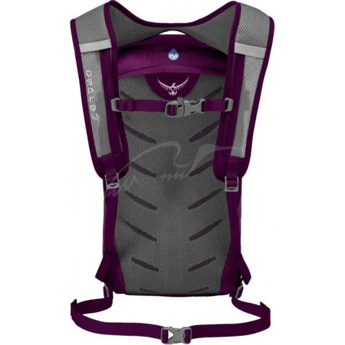 Рюкзак Osprey Daylite 13 к:purple