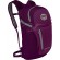 Рюкзак Osprey Daylite Plus 20 к:purple