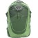 Рюкзак Osprey Flare 22 ц:зеленый