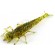 Силікон FishUP Diving Bug 2 "# 036 - Caramel / Green & Black (8шт / уп)
