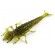 Силікон FishUP Diving Bug 2 "# 074 - Green Pumpkin Seed (8шт / уп)