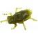 Силікон FishUP Dragonfly 0.75 "# 074 - Green Pumpkin Seed (12шт / уп)