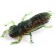 Силікон FishUP Dragonfly 1.5" #017