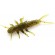 Силикон FishUP Stonefly 0.75" #074 - Green Pumpkin Seed (12шт/уп)