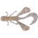 Силикон Jackall Vector Bug 2.5" Clear Shrimp 8шт