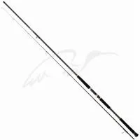 Спиннинг Daiwa For Shore Jigging 100H 3.00m 40-120g