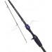 Спиннинг Daiwa Prorex XR Baitcast Travel 2.40m 40-120g 4sec