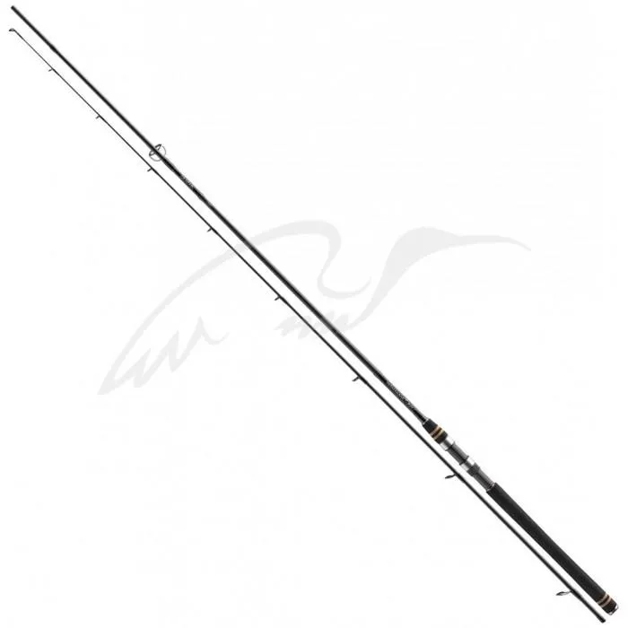 Спиннинг Daiwa Team Daiwa Air Sea Trout 3.00m 10-35g