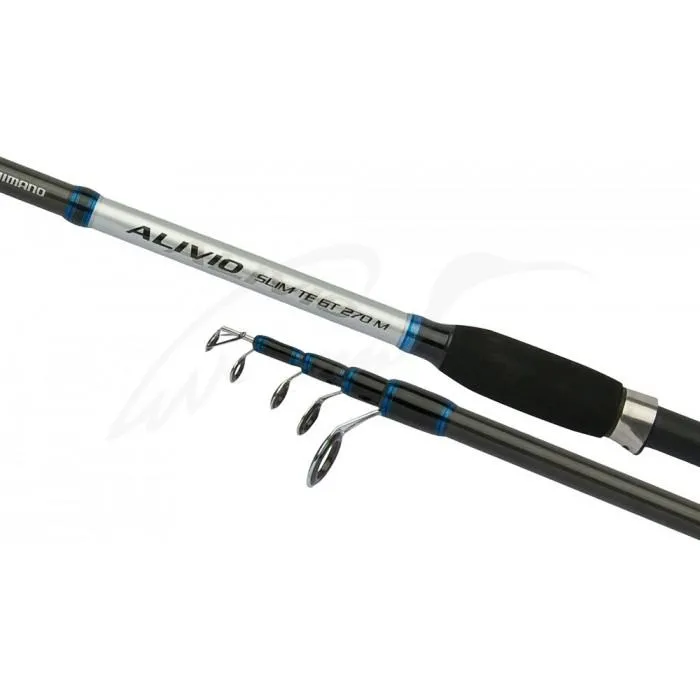 Спиннинг Shimano Alivio Slim TE GT 27XH 2.70m 40-80g