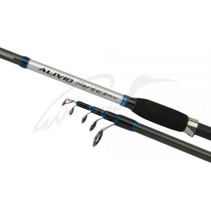 Спиннинг Shimano Alivio Slim TE GT 30H 3.00m 30-60g