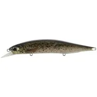Воблер DUO Realis Jerkbait 120SP Pike 120mm 17.8 g CCC3815