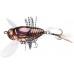 Воблер DUO Realis Koshinmushi 30mm 3.1g CCC3219 Beetle