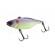 Воблер Jackall Skull Shell TN70 Maruhata Sound 17.3g Maruhata TR Shad