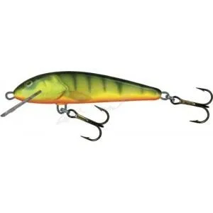 Воблер Salmo Minnow 6F HP