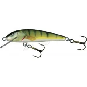 Воблер Salmo Minnow 6F PH