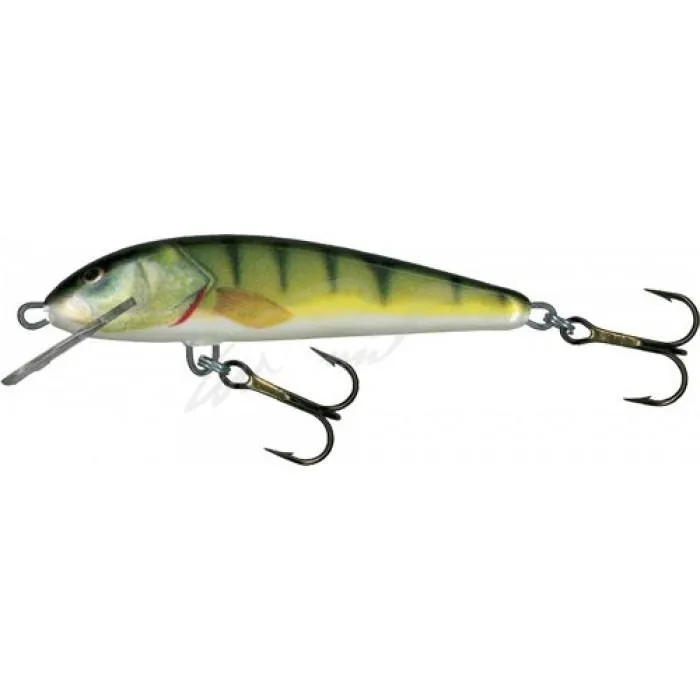 Воблер Salmo Minnow 6F PH