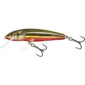 Воблер Salmo Minnow 6F RBD