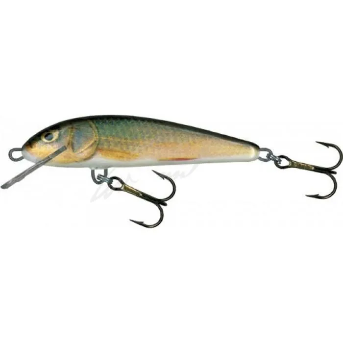 Воблер Salmo Minnow 6F RR