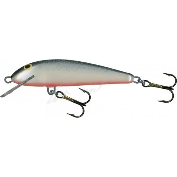 Воблер Salmo Minnow 6S GS