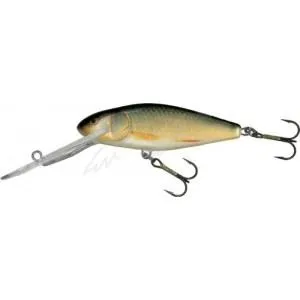 Воблер Salmo Perch 14F RR